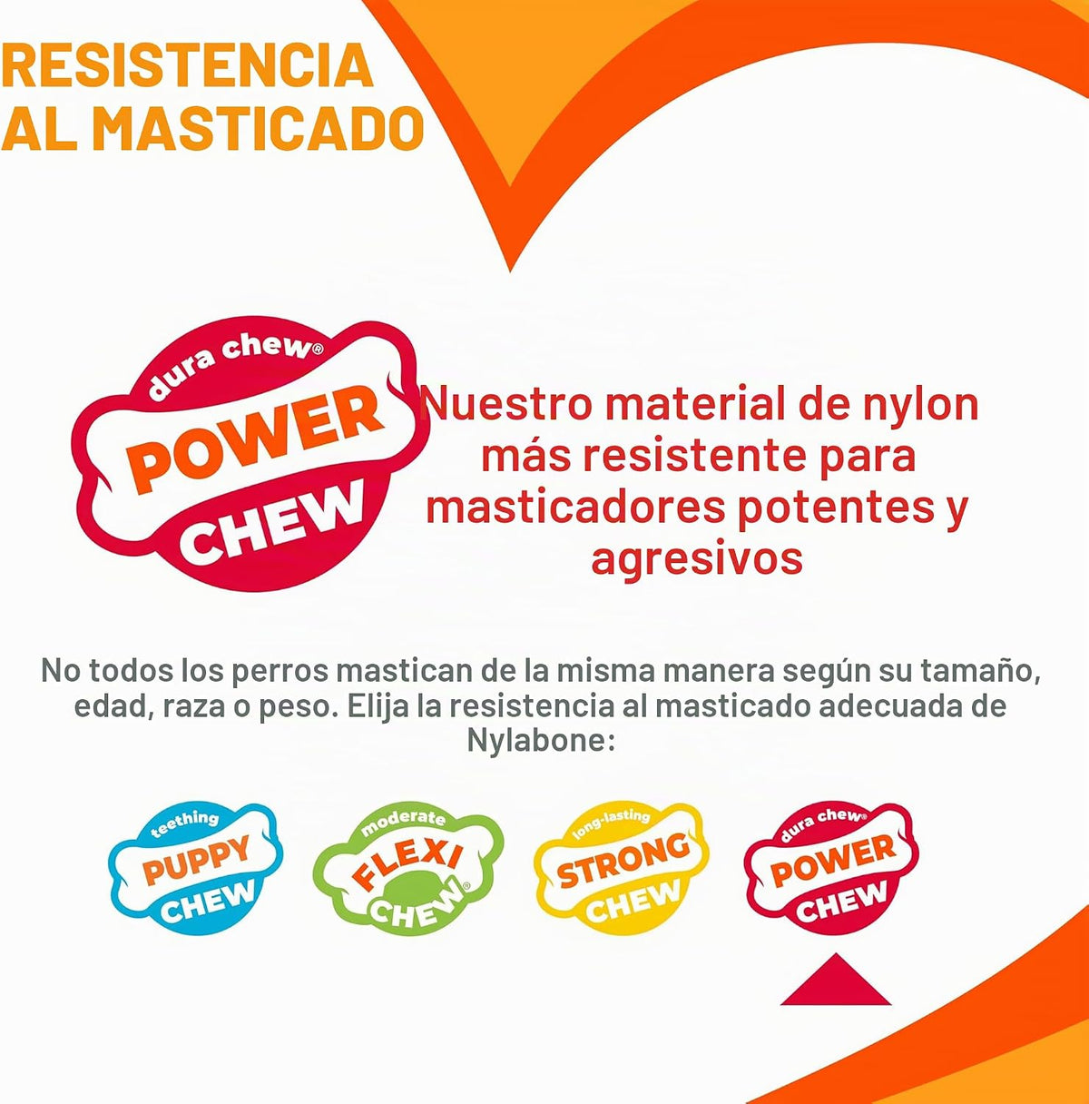 Nylabone Power Chew - Juguete masticable para perros de Wishbone de...