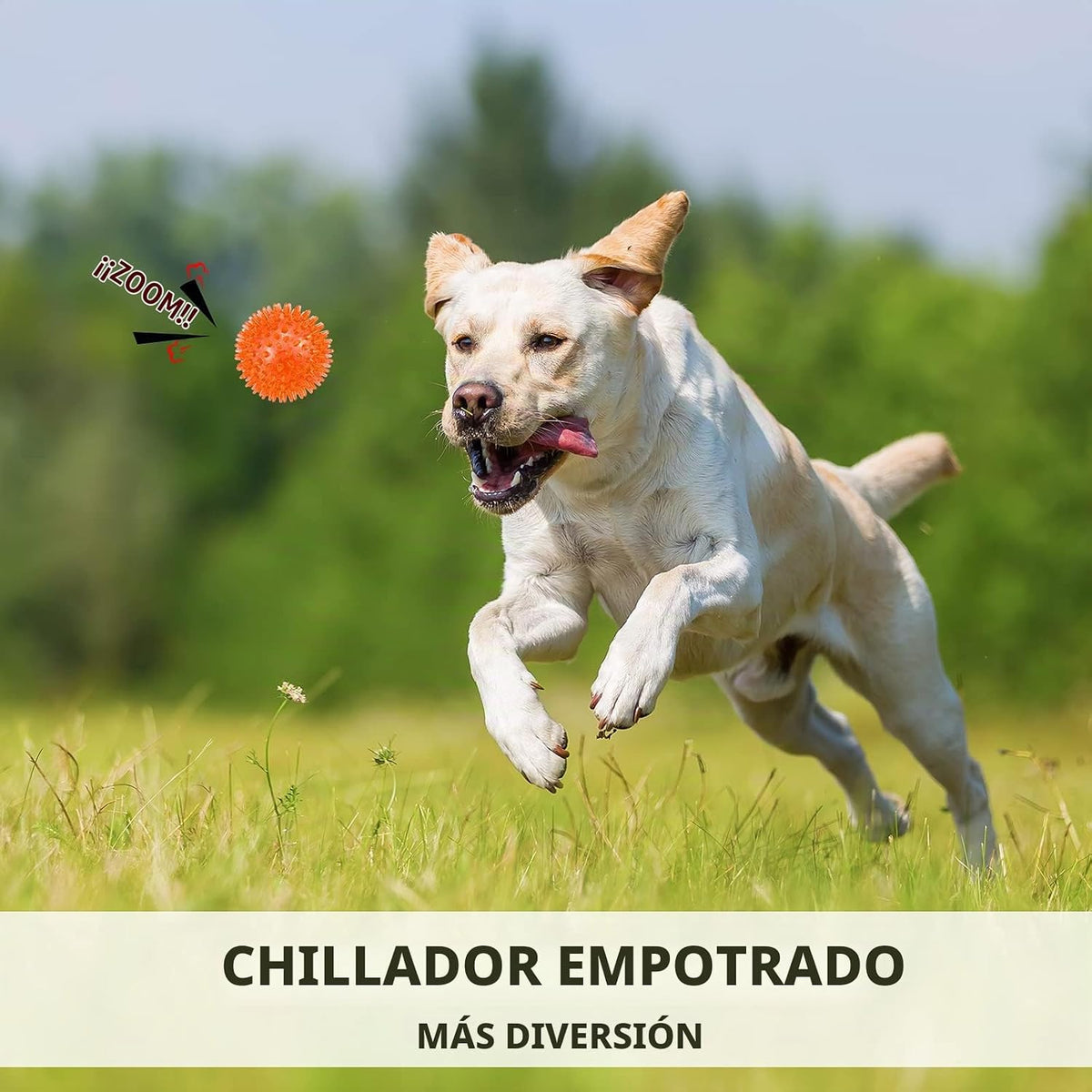 petizer Paquete de 3 bolas chirriantes de juguete para perros de 3....