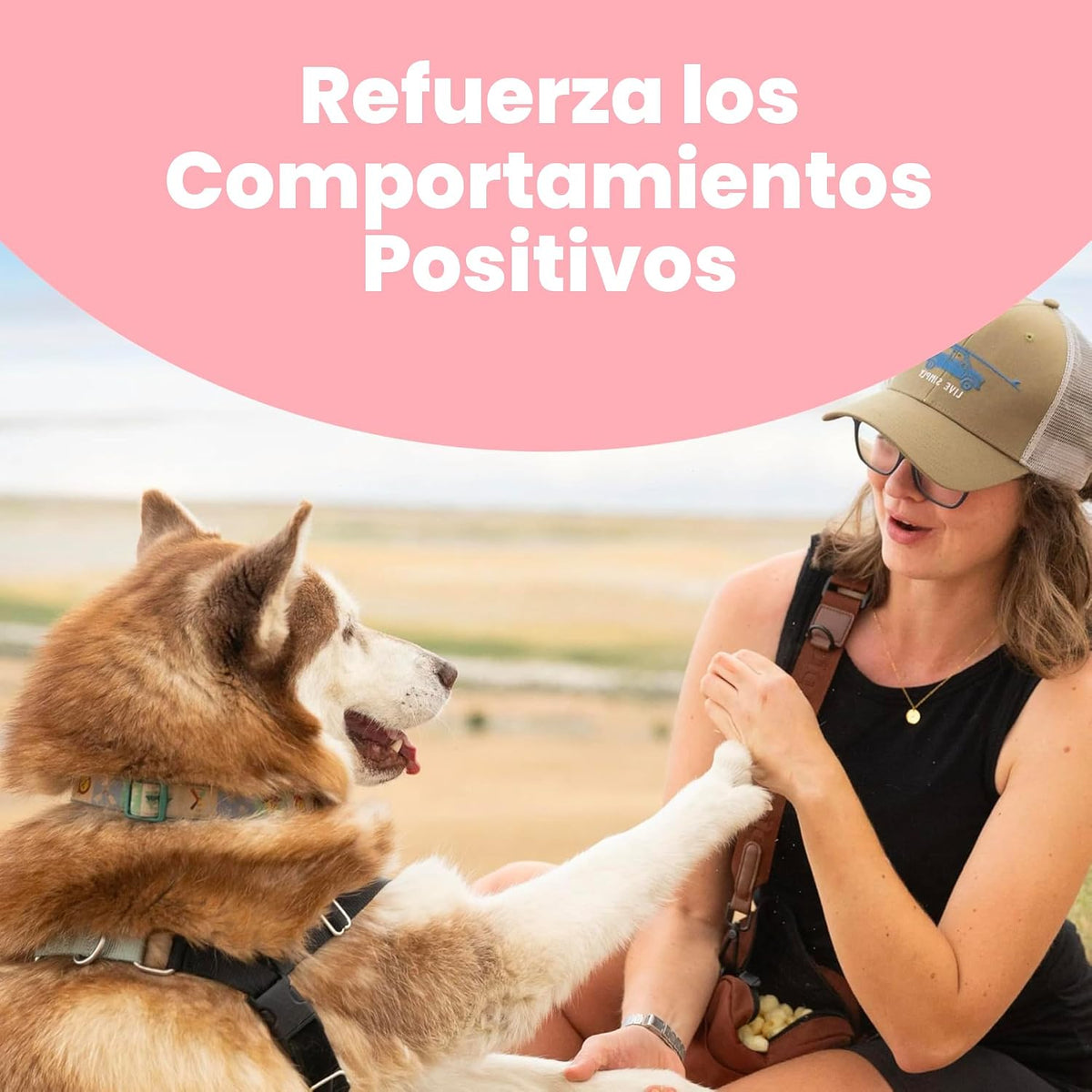 Pupford - Golosinas de entrenamiento liofilizadas, para perros y ca...