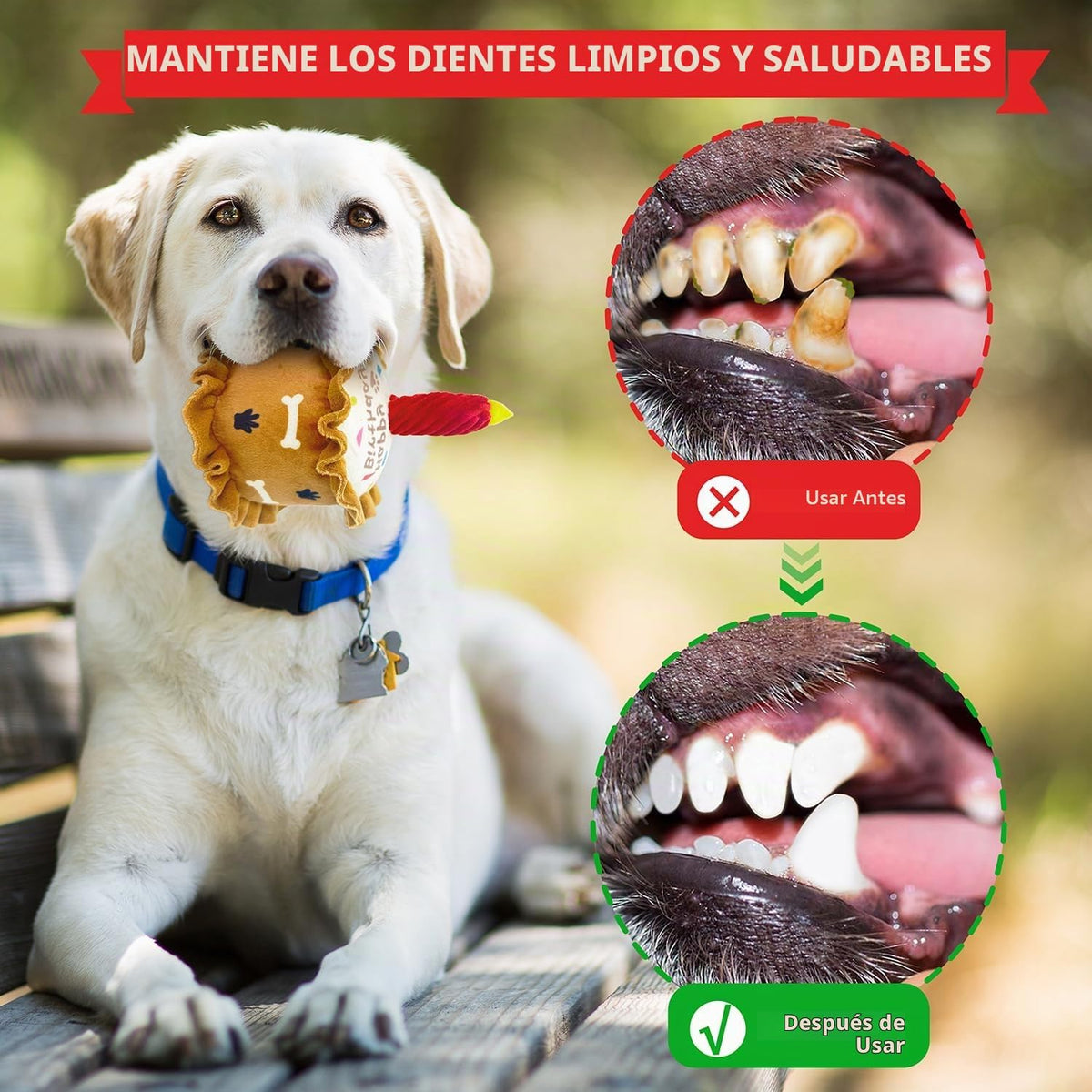 CneeeeeB Juguetes de Cumpleaños para Perros Juguete Crujiente para...