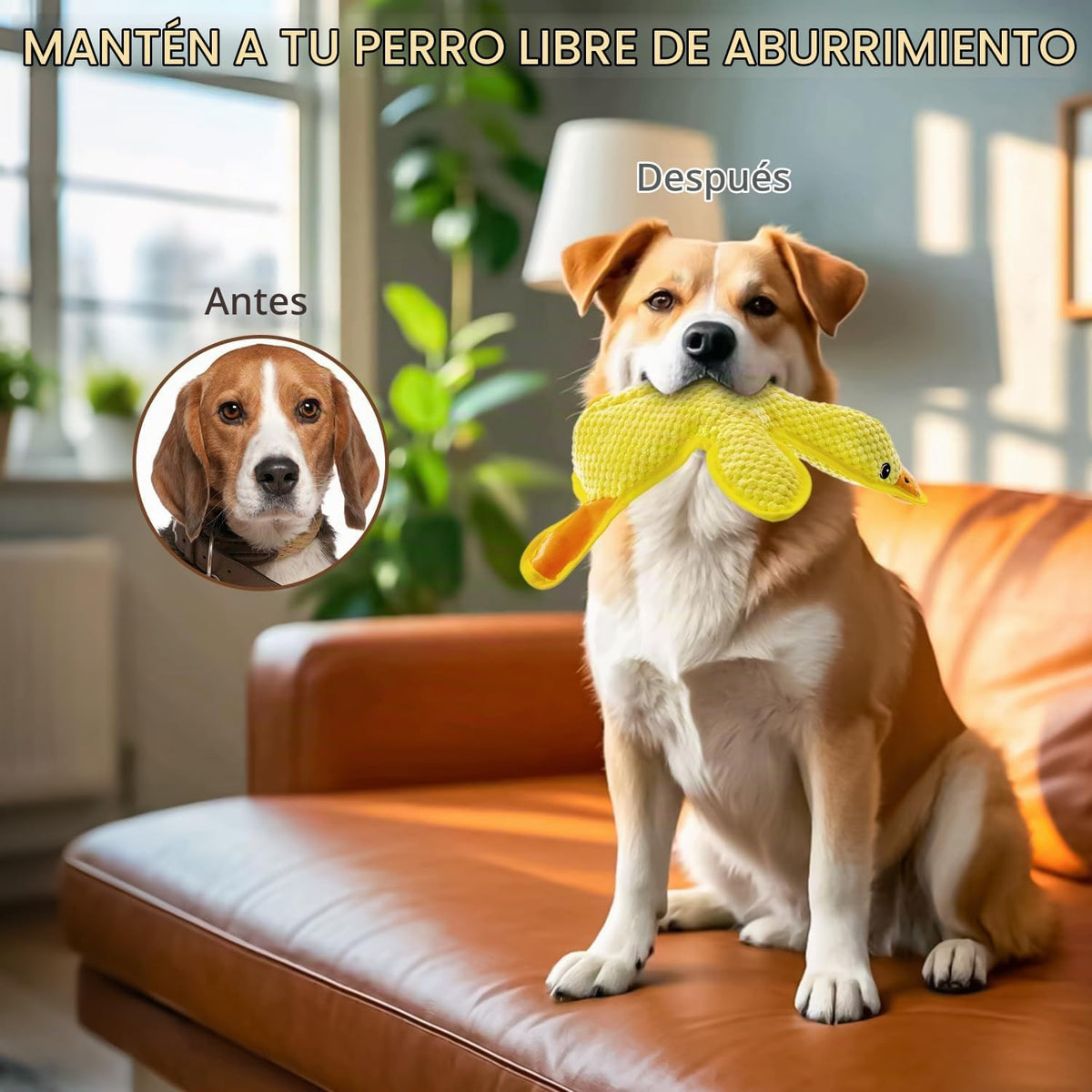 MAOOOOB Juguetes para perros sin relleno - Juguetes para morder par...