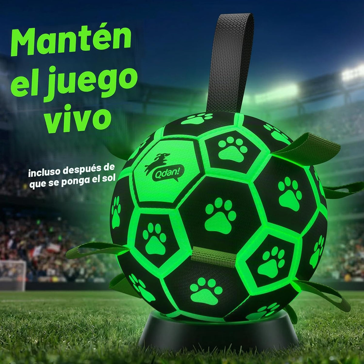 QDAN Pelota de fútbol para perros que brilla en la oscuridad con co...
