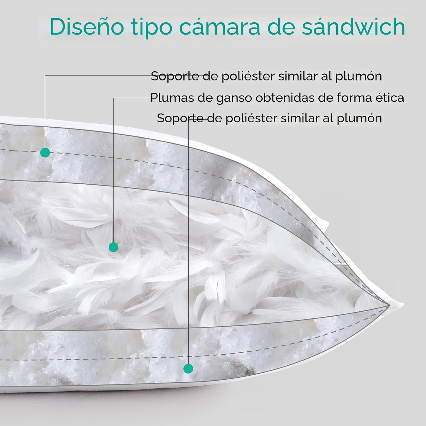 Paquete de 2 almohadas de plumas de ganso blanco. Funda de algodón...