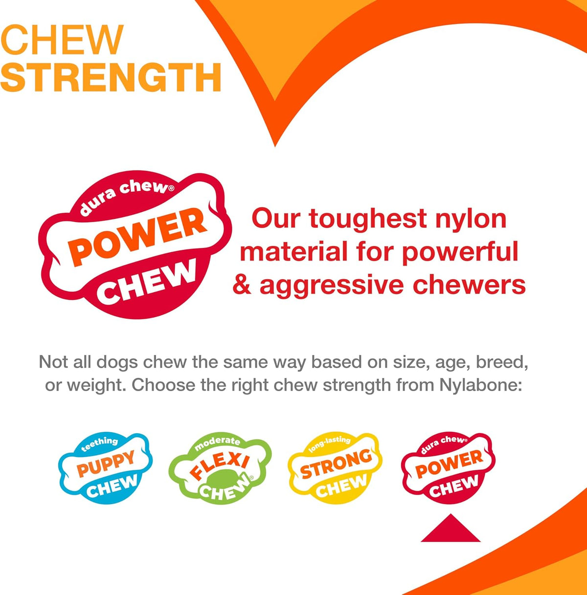 Nylabone Original Bone Power - Paquete de valor de juguetes mastica...