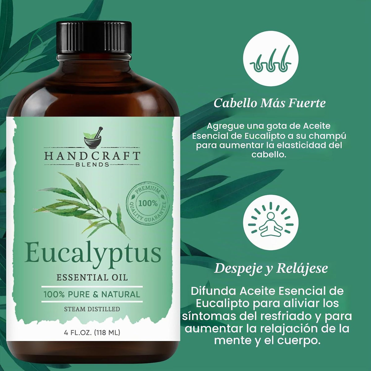 Handcraft Blends Aceite esencial de eucalipto \u2013 Extra grande,...