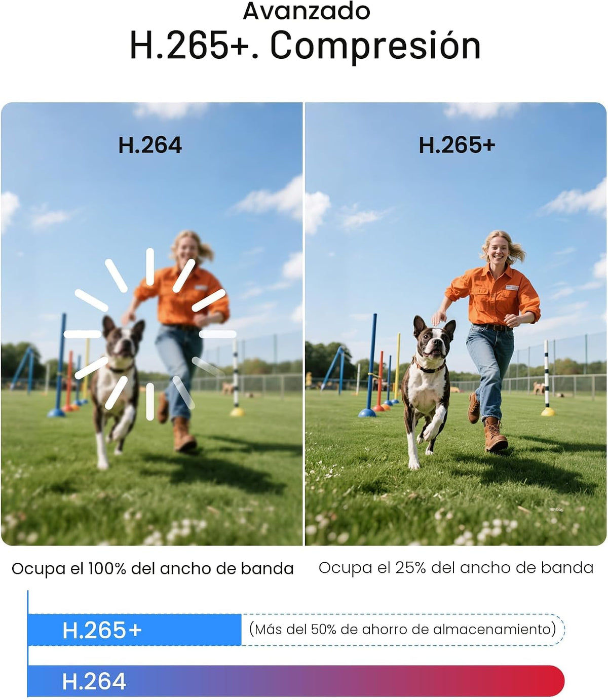 Sistema completo de cámara de seguridad ZOSI H.265+ de 1080p para e...