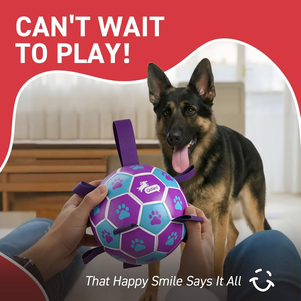 QDAN Juguetes para perros grandes, pelota de fútbol grande para per...
