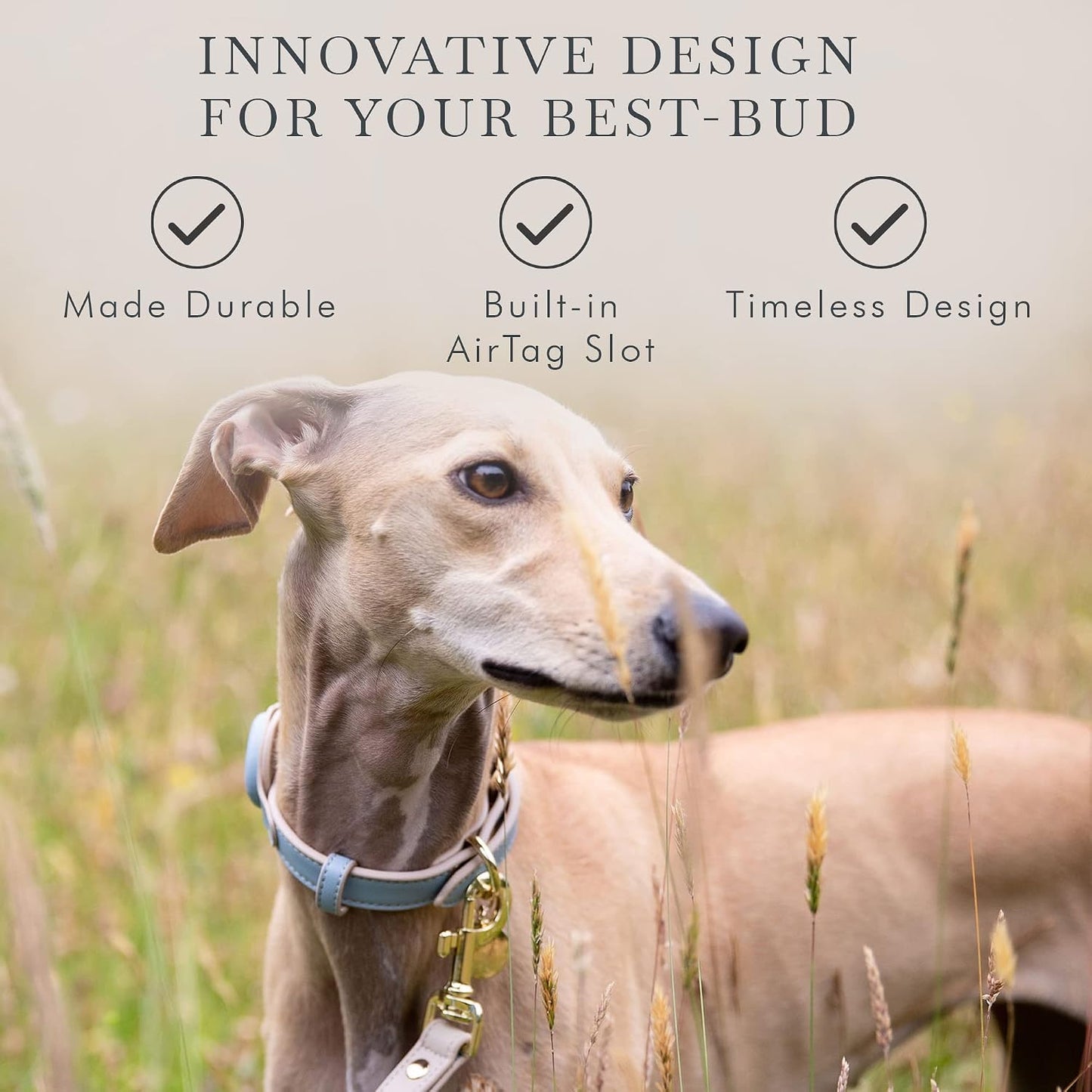 NINA WOOF Cupertino - Collares, arneses y correas para perro, hecho...