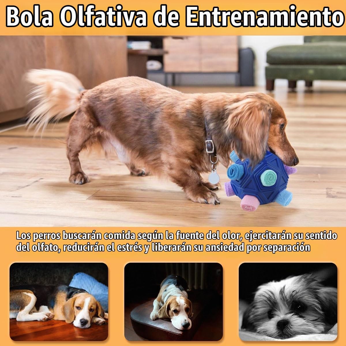 Petration Pelota de Olfato para Perros - Juguetes Interactivos de R...
