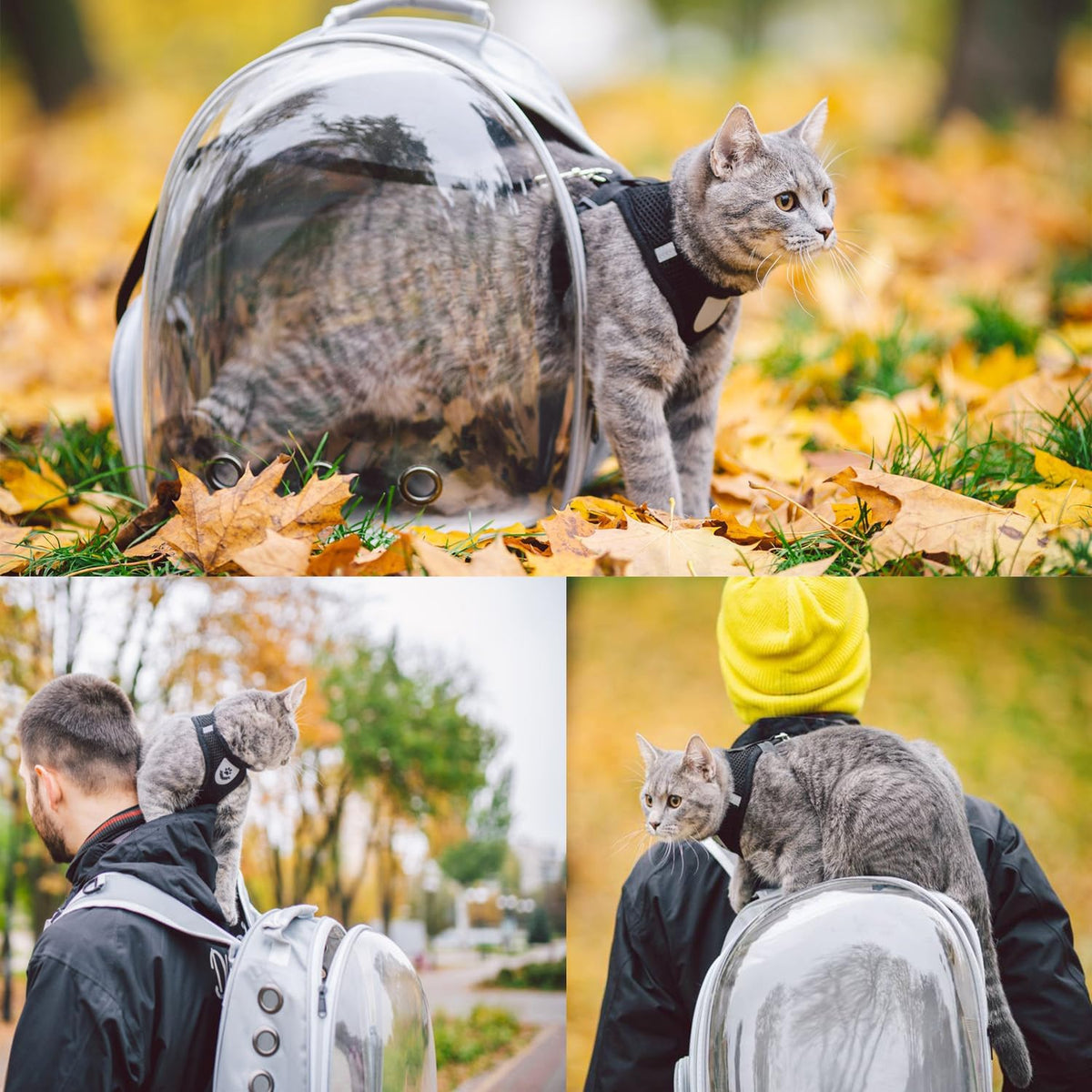 Mochila transportadora para gatos, transportador de mascotas con di...
