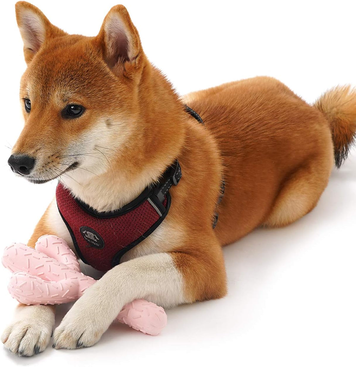 MewaJump Juguetes masticables para perros, juguetes de goma resiste...