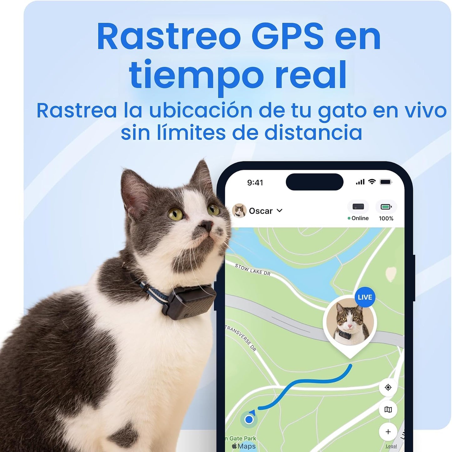 Tractive Rastreador GPS inteligente para gatos | Monitoreo de ubica...