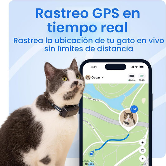 Tractive Rastreador GPS inteligente para gatos | Monitoreo de ubica...