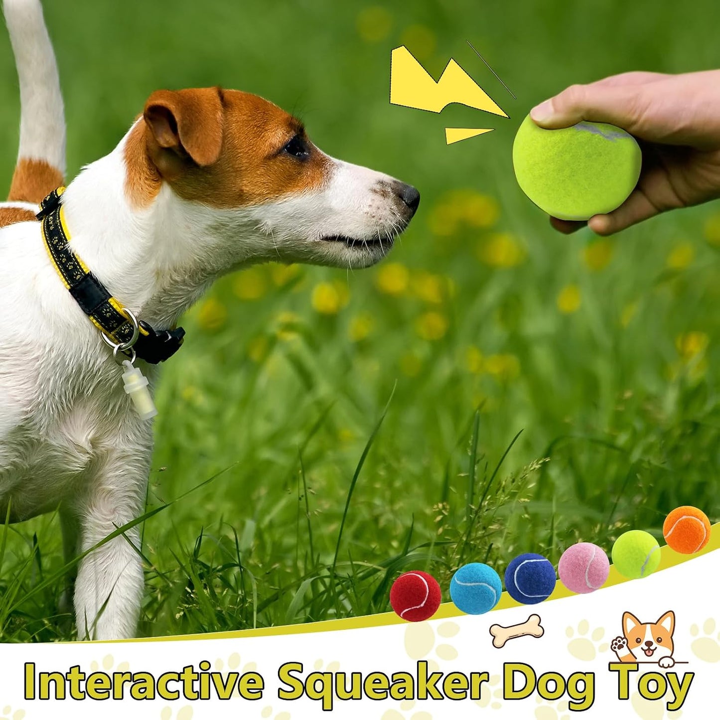 Swingers Pelotas de tenis chirriantes para perros, pelotas de tenis...
