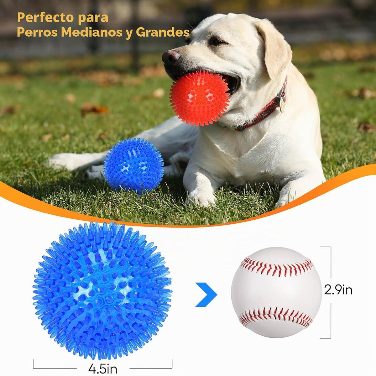 petizer Paquete de 2 pelotas chirriantes de juguete para perros de...
