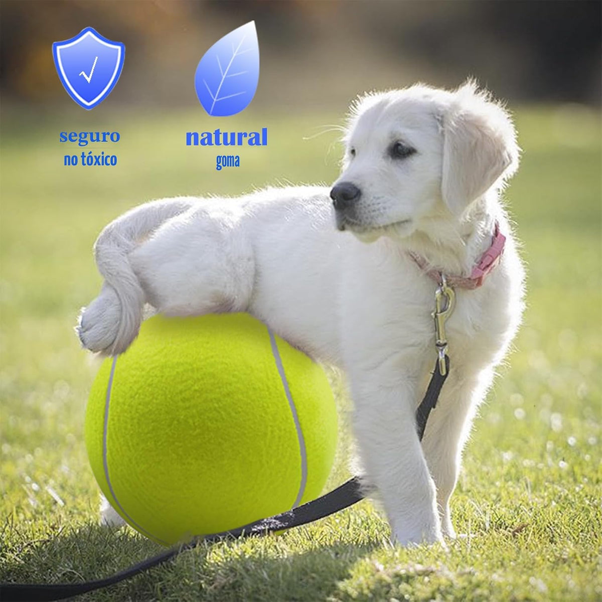 Banfeng Pelota de tenis grande para perros, pelota de tenis gigante...