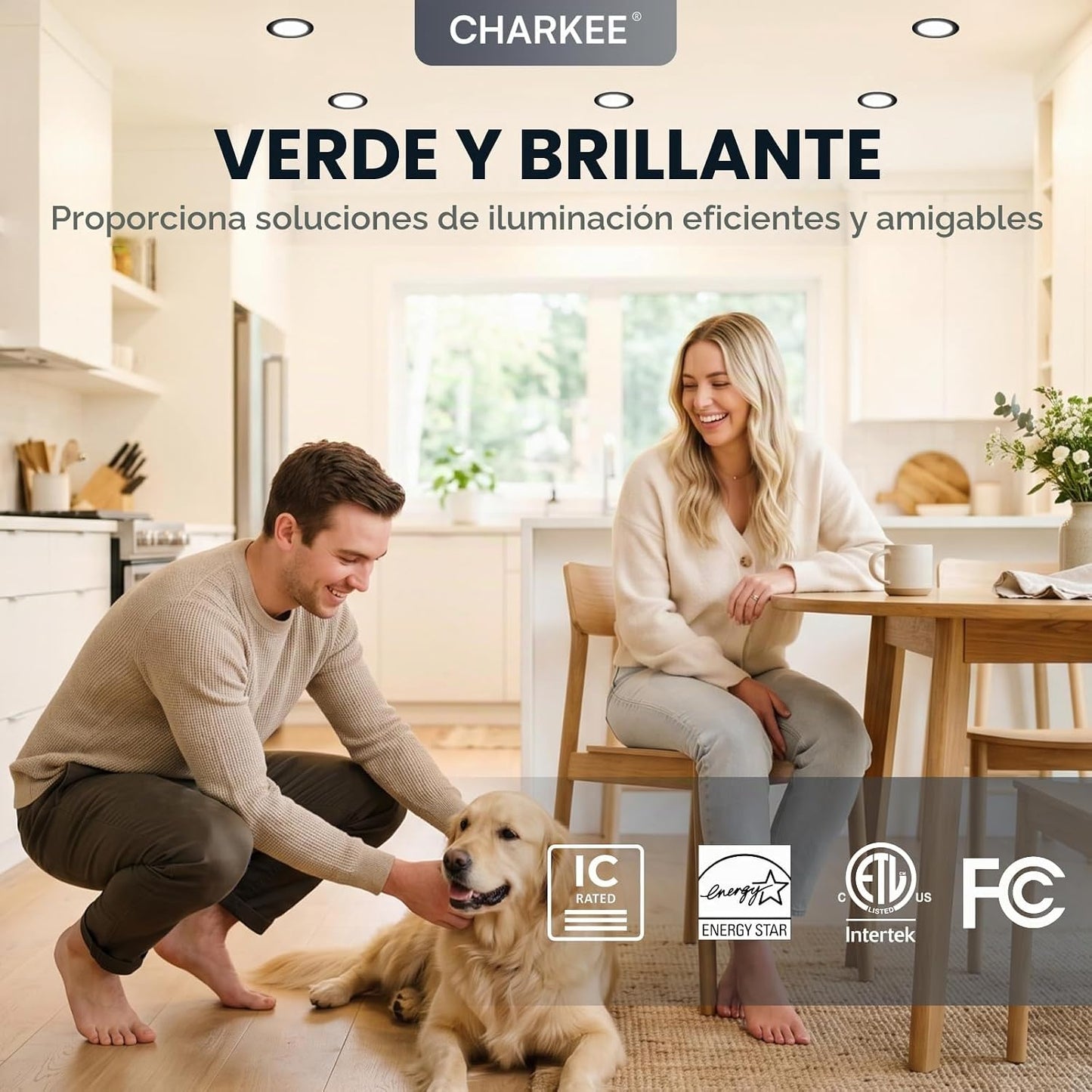 CHARKEE Paquete de 24 luces LED empotrables ultrafinas de 6 pulgada...