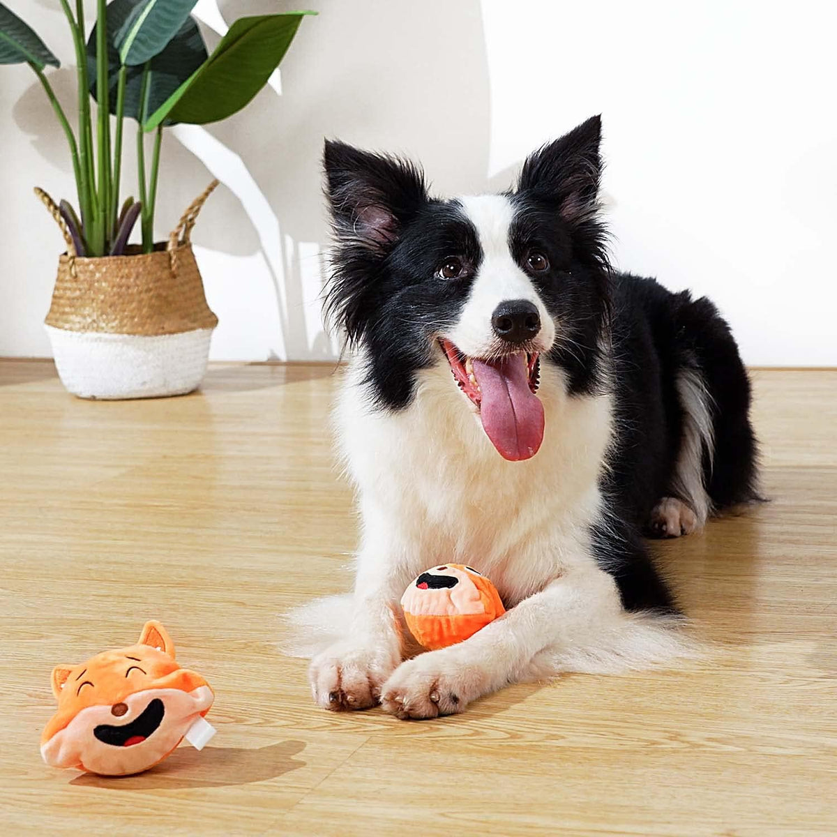 MewaJump Juguetes Chirriantes para Perros con Bola 3-en-1 de Peluch...