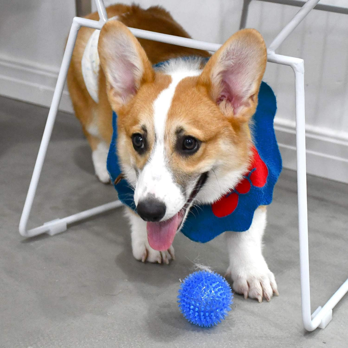 SHARLOVY Pelotas chirriantes para cachorros pequeños, paquete de 6...