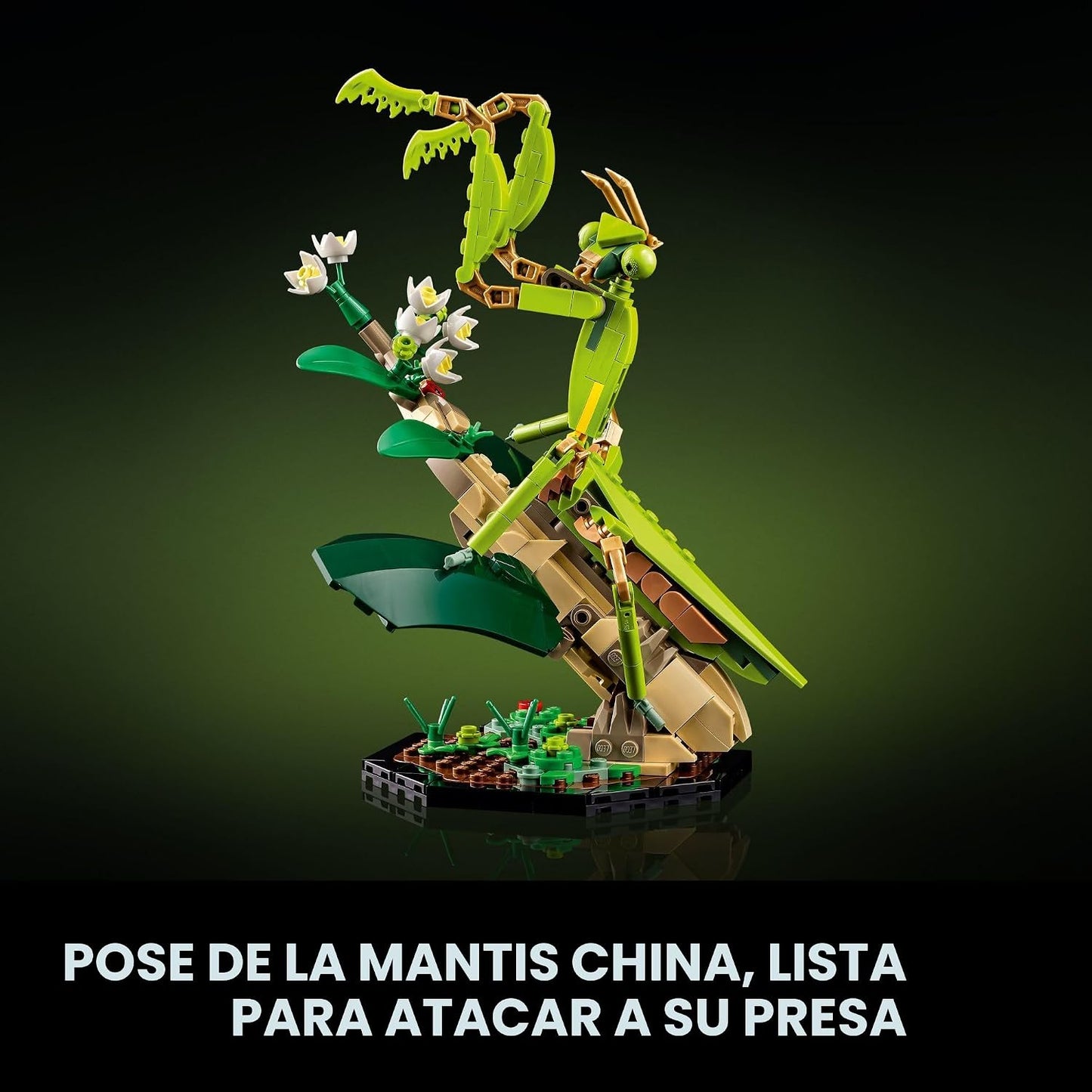 LEGO Ideas La Colección de Insectos, Divertido Regalo para Amantes...