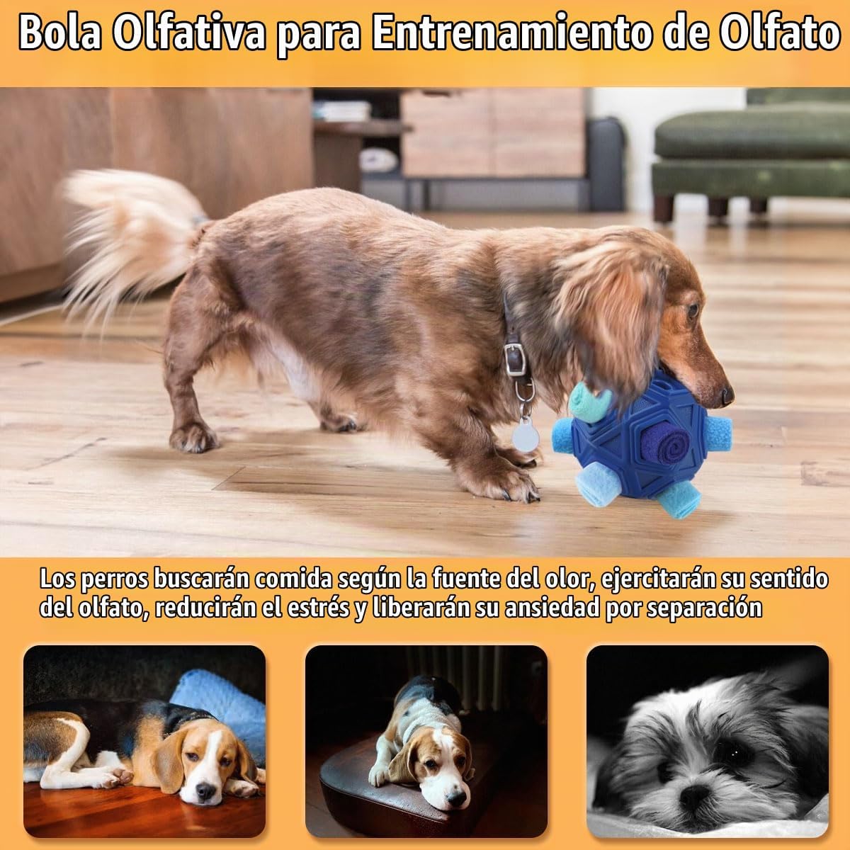 Petration Pelota Olfateadora para Perros - Juguetes Interactivos de...