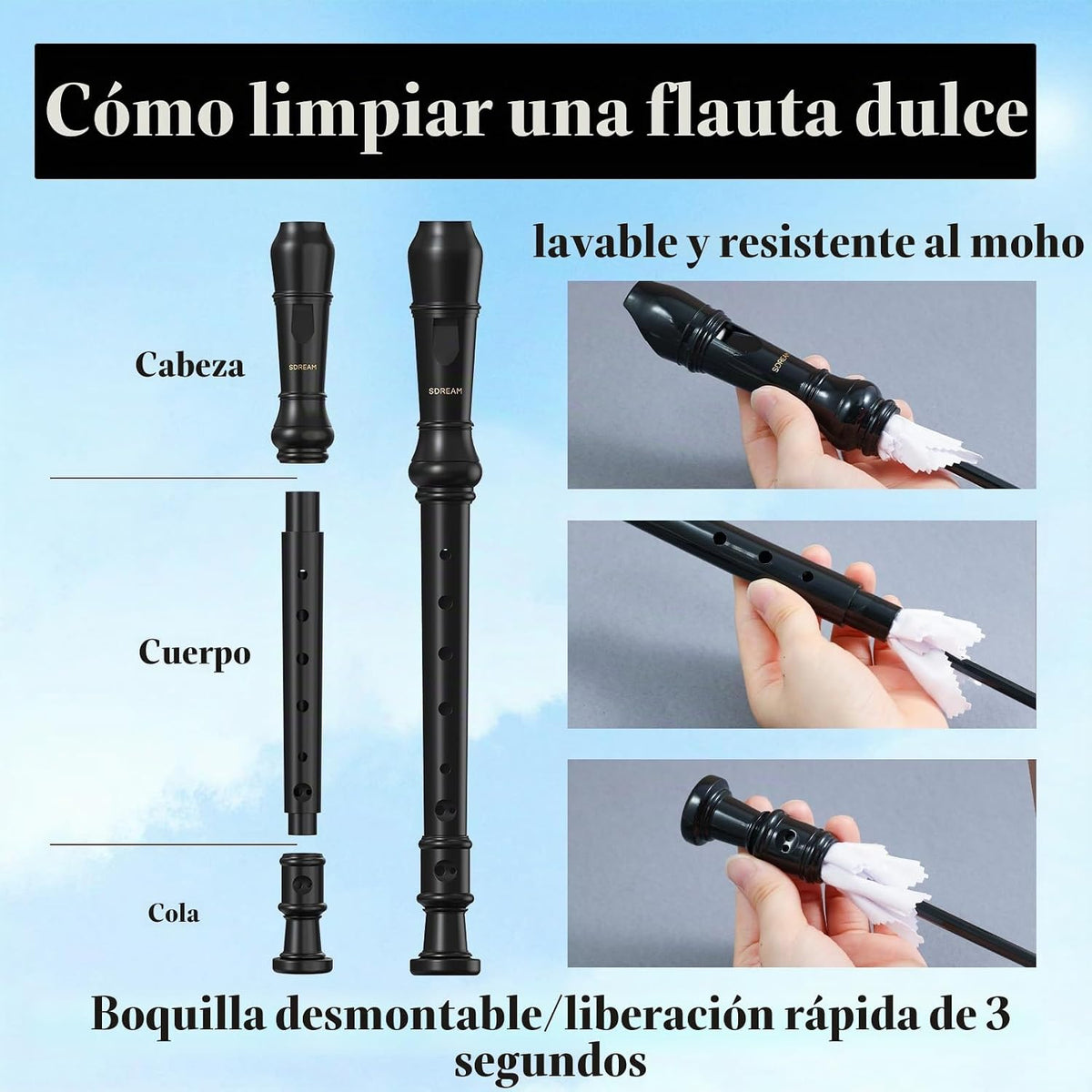 SDREAM Instrumento de grabadora soprano para niños principiantes y...