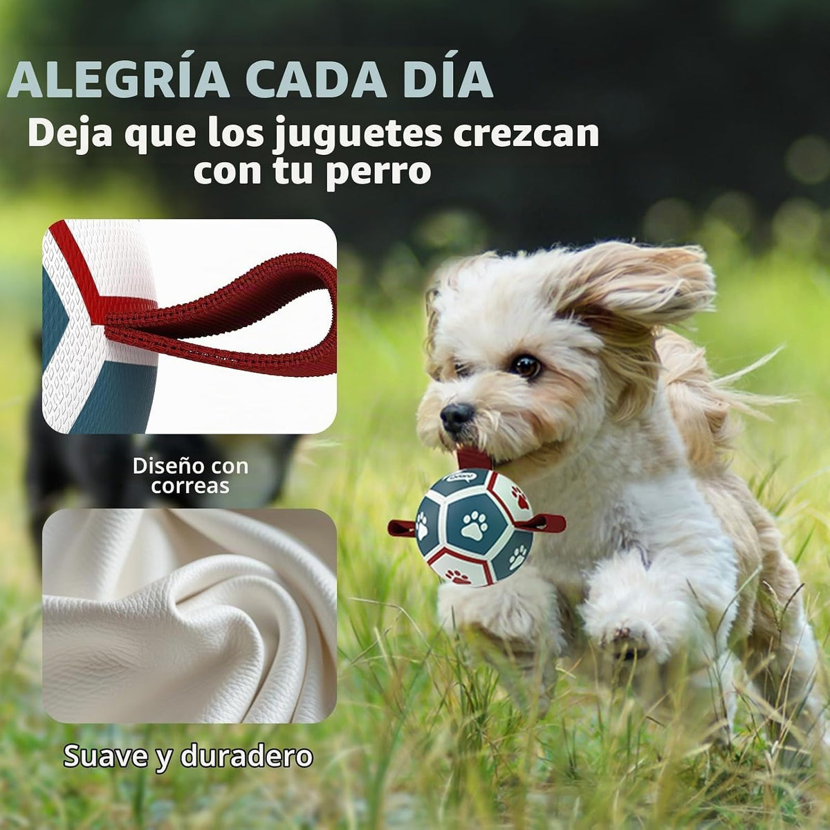 QDAN Juguetes para perros pequeños, pelotas para cachorros, pelotas...