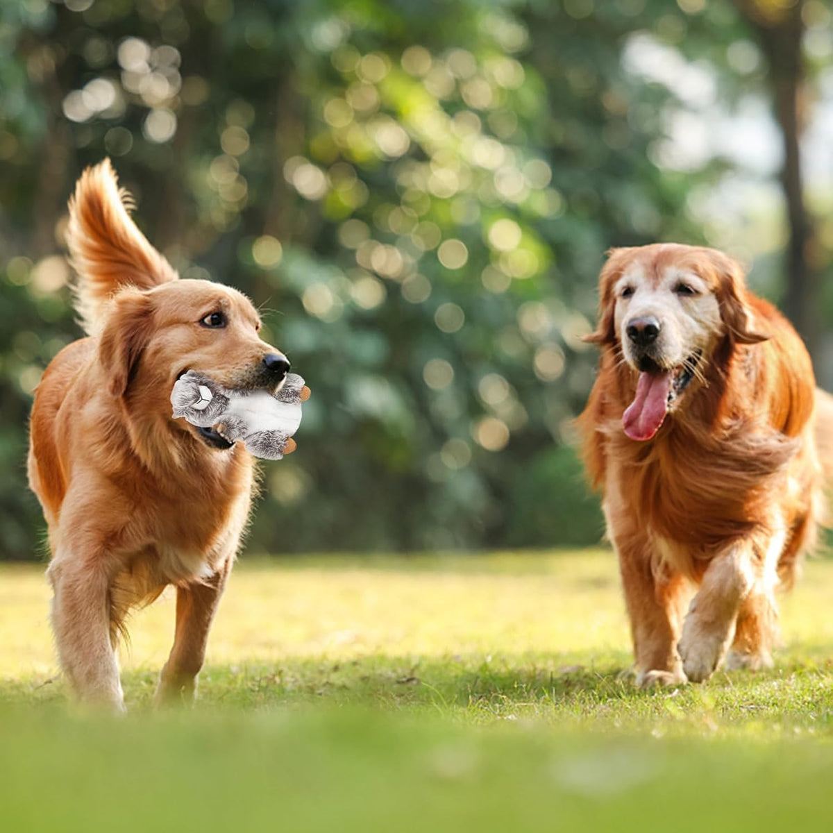 DODODOLA Juguetes para Perros de Peluche Ardilla Animales de Peluch...