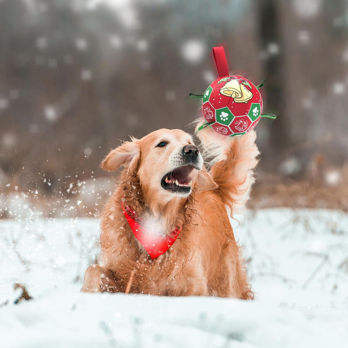 QDAN - Pelotas de fútbol de Navidad con correas para perros, juguet...
