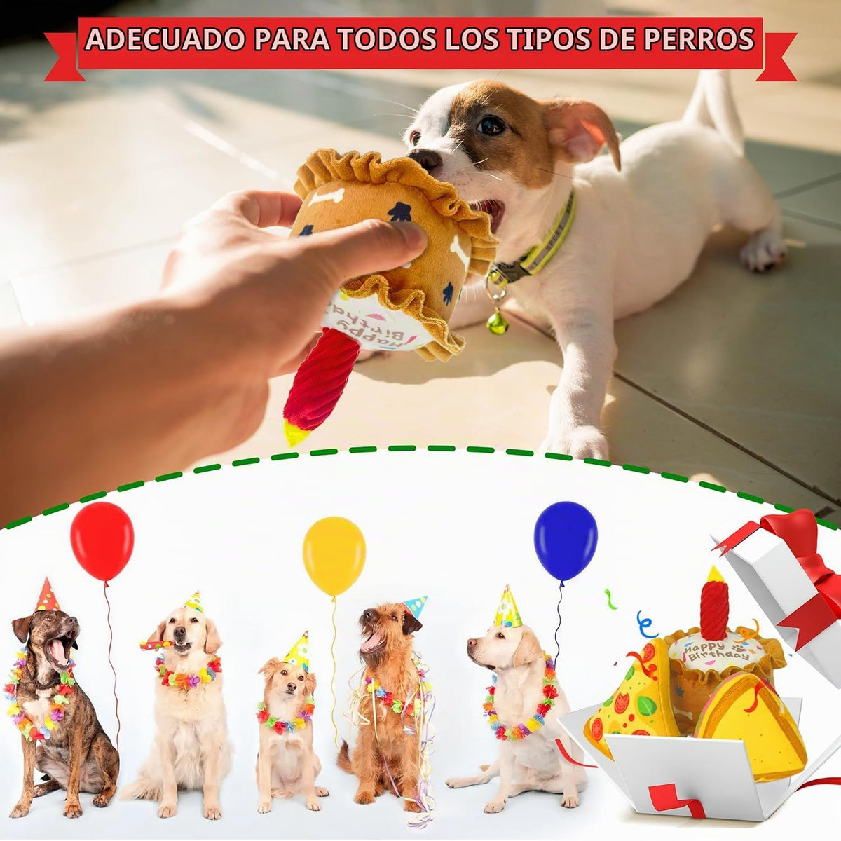CneeeeeB Juguetes de Cumpleaños para Perros Juguete Crujiente para...