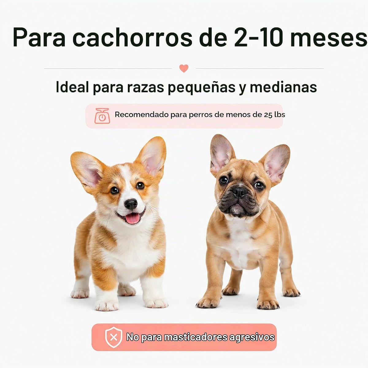 Miventra Paquete de 6 juguetes masticables para cachorros, juego de...