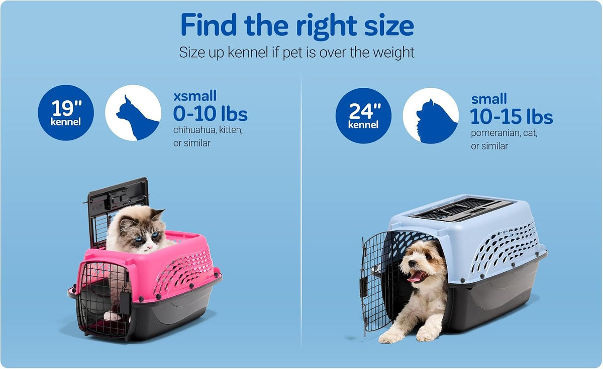 Petmate Jaulas para Perros Pequeños y Transportadores para Gatos, P...