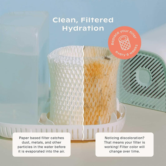 Filtros Originales para Humidificador de Mesita de Noche Canopy, Pa...