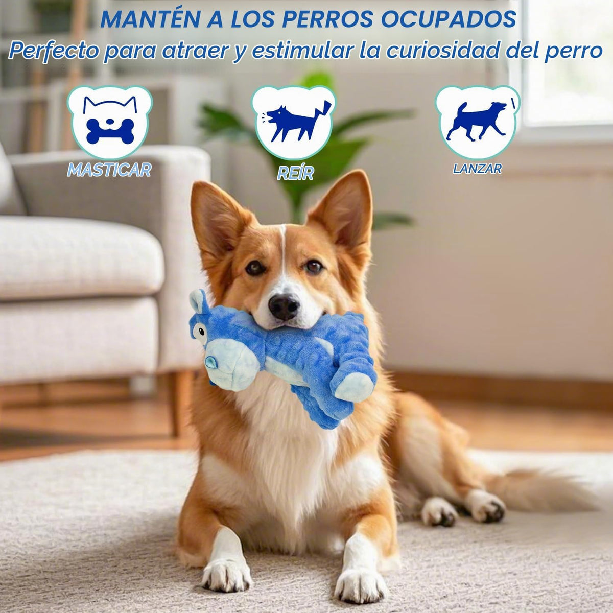 MeetYooo Juguetes de peluche chirriantes para perros, juguete masti...