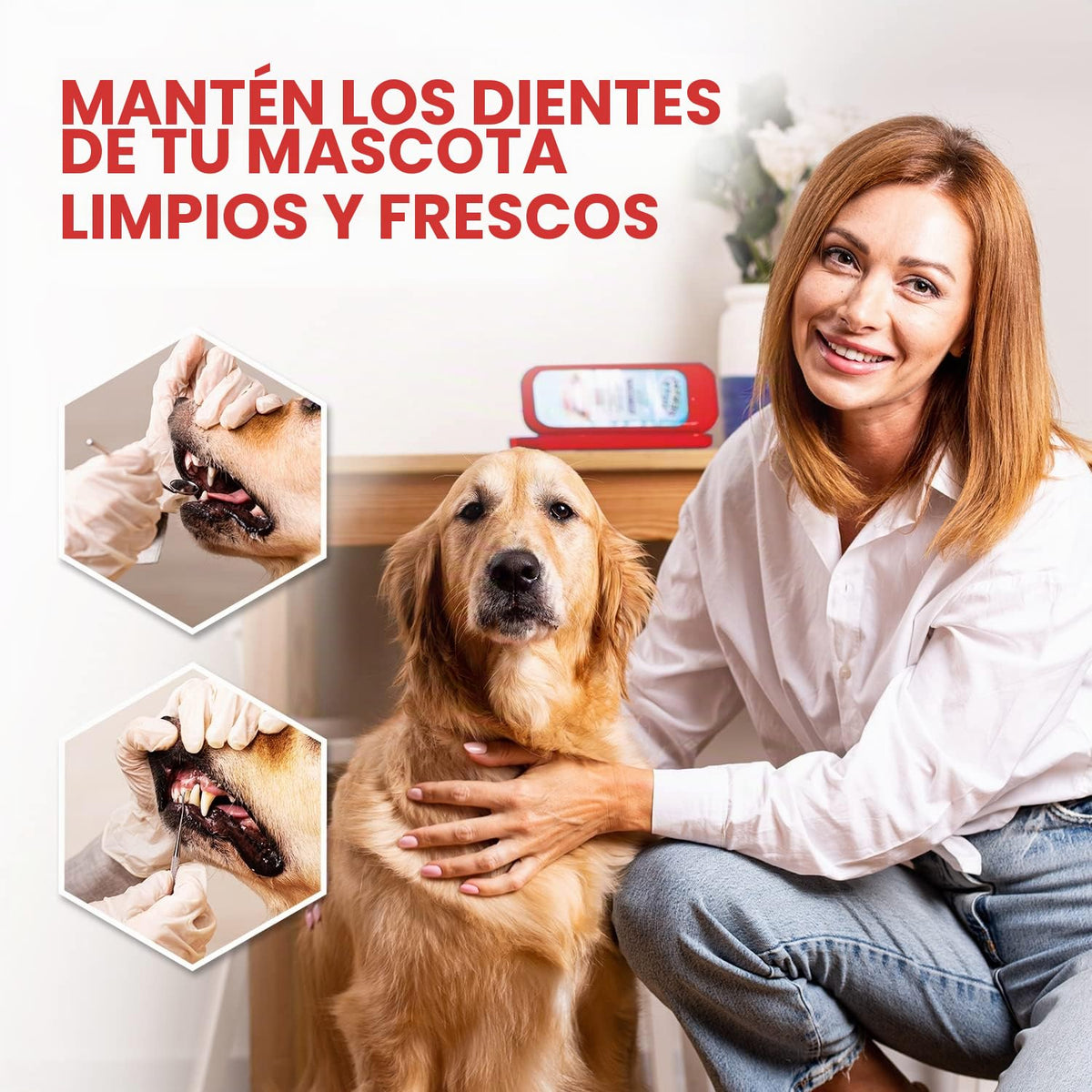 Dental Duty Herramientas dentales, púa dental para herramientas de...