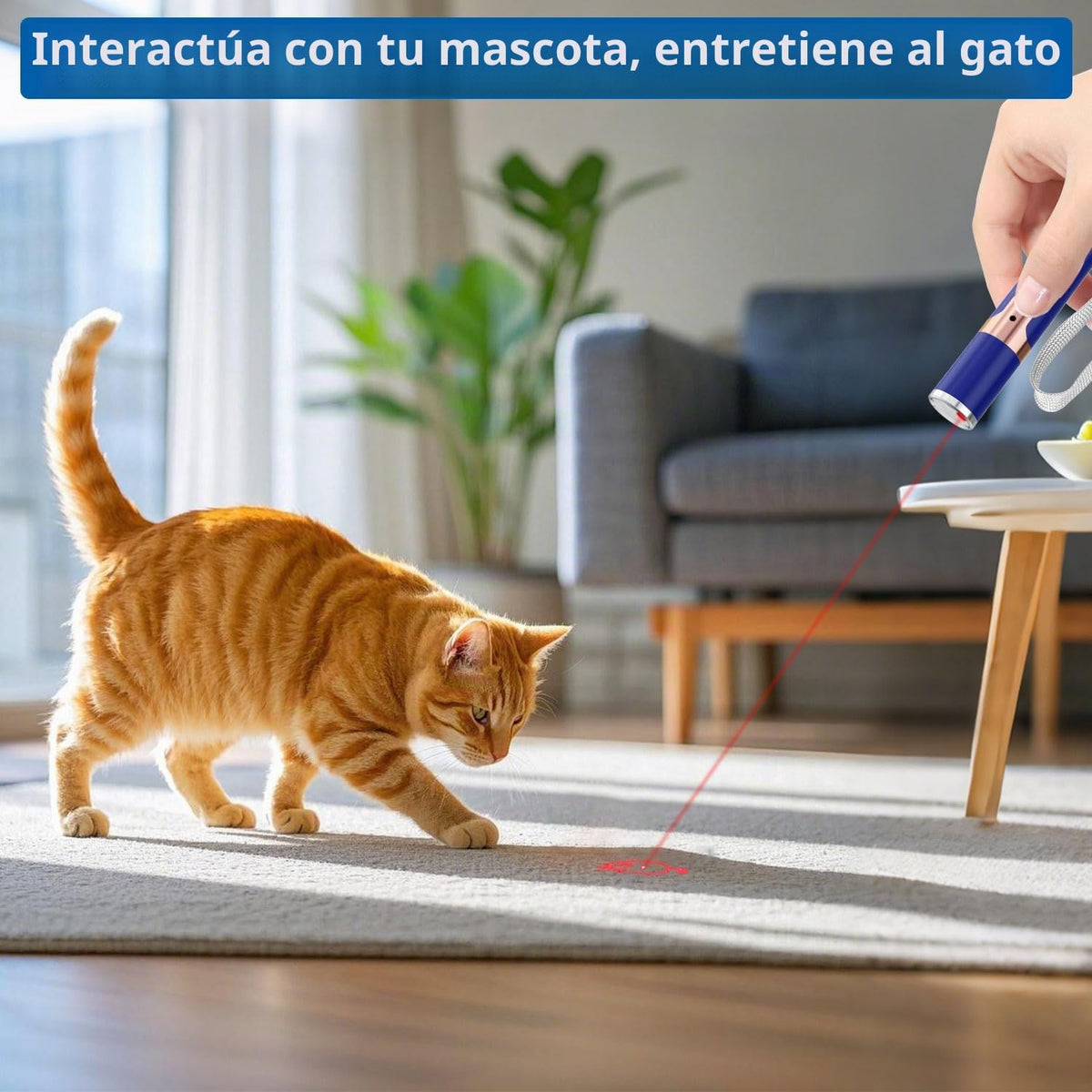 TBTeek Juguetes para gatos, con caja de metal, 2 piezas, recargable...