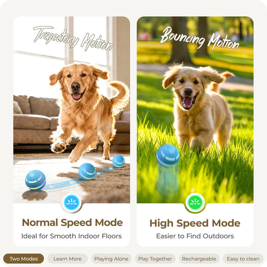 Apasiri - Juguetes interactivos para perros: Bolas para perros que...