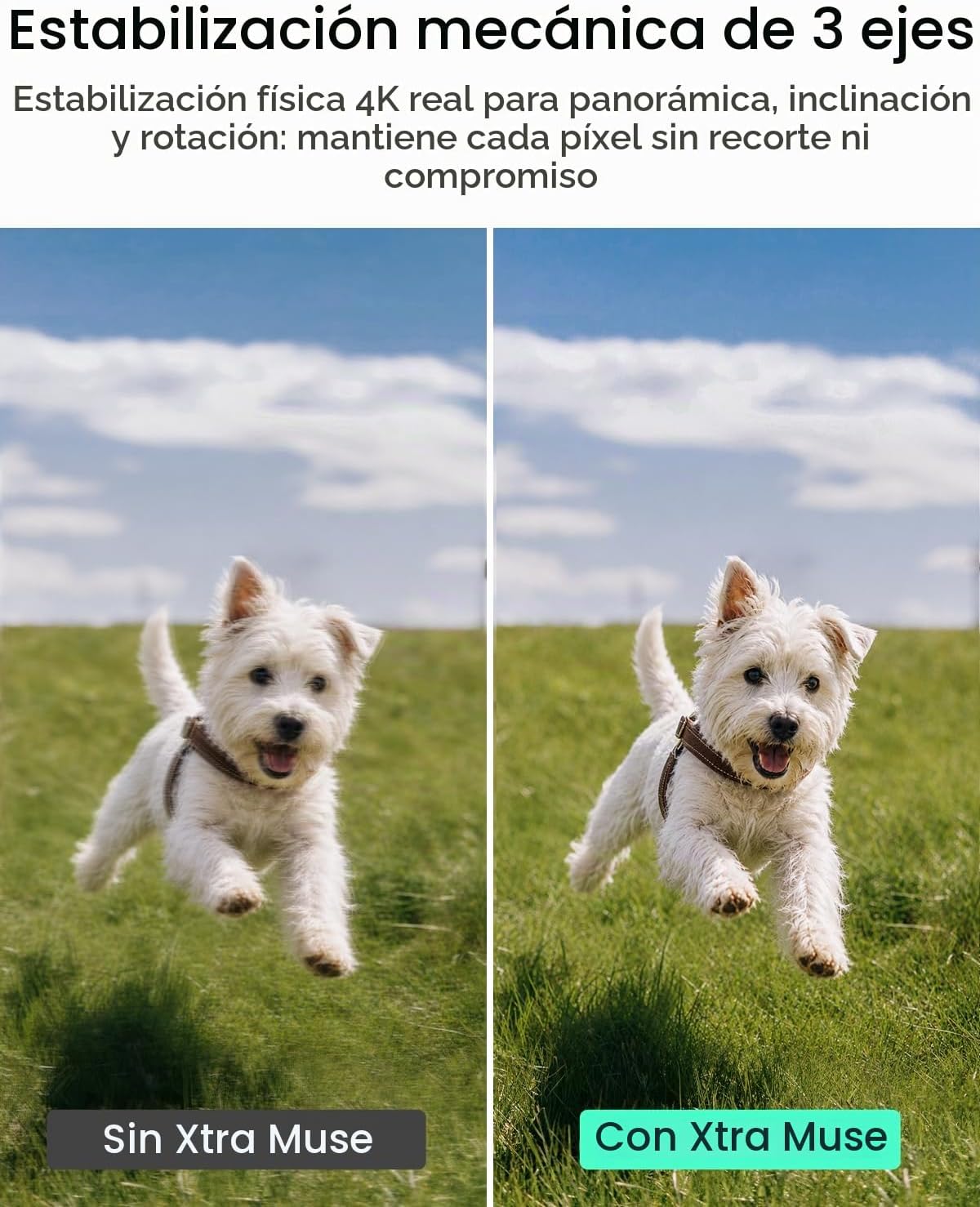 Xtra Muse, cámara de vlogging con CMOS de 1'' y videos 4K\/...