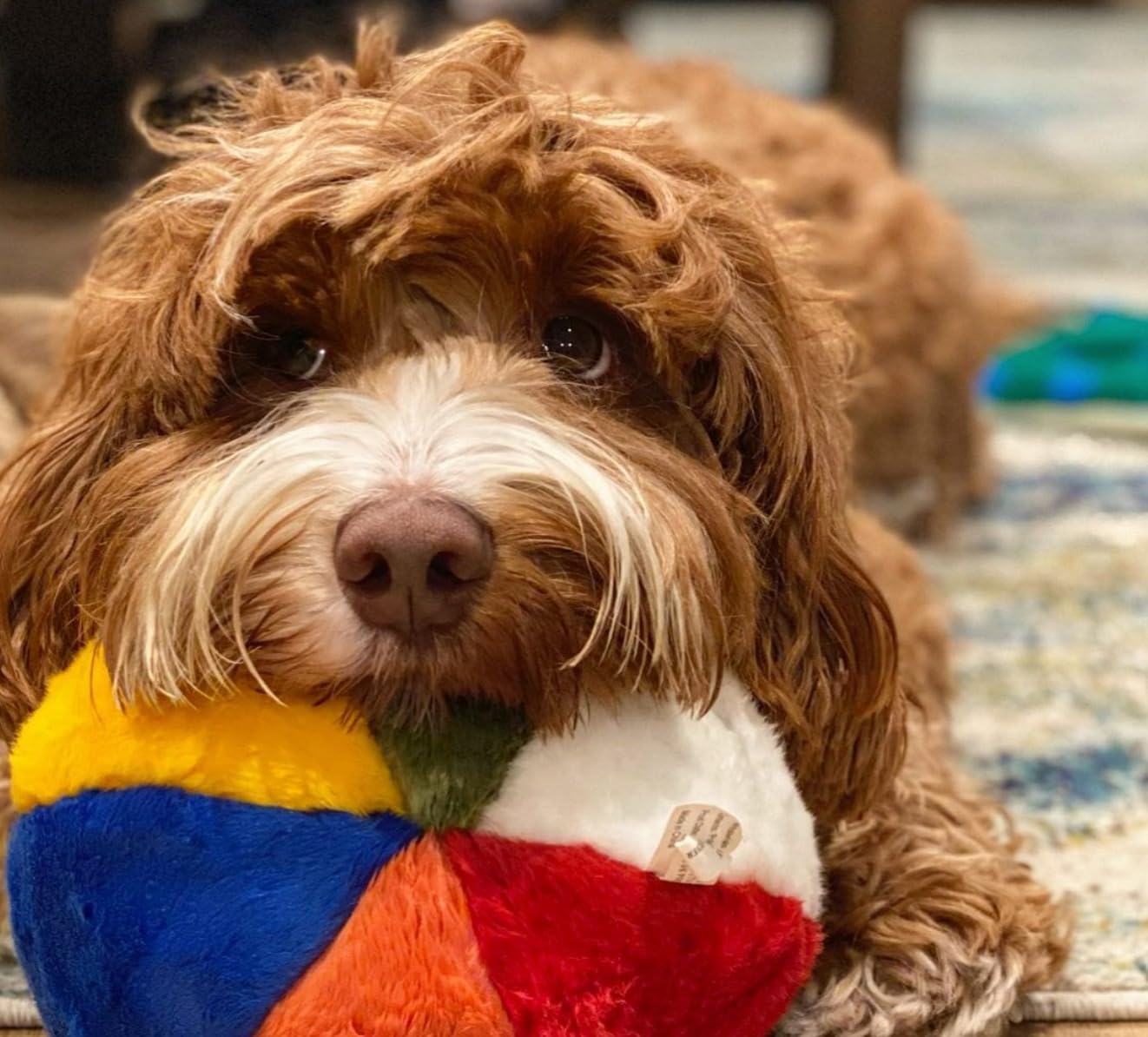 Fluff &amp; Tuff Pelota de playa, 7"