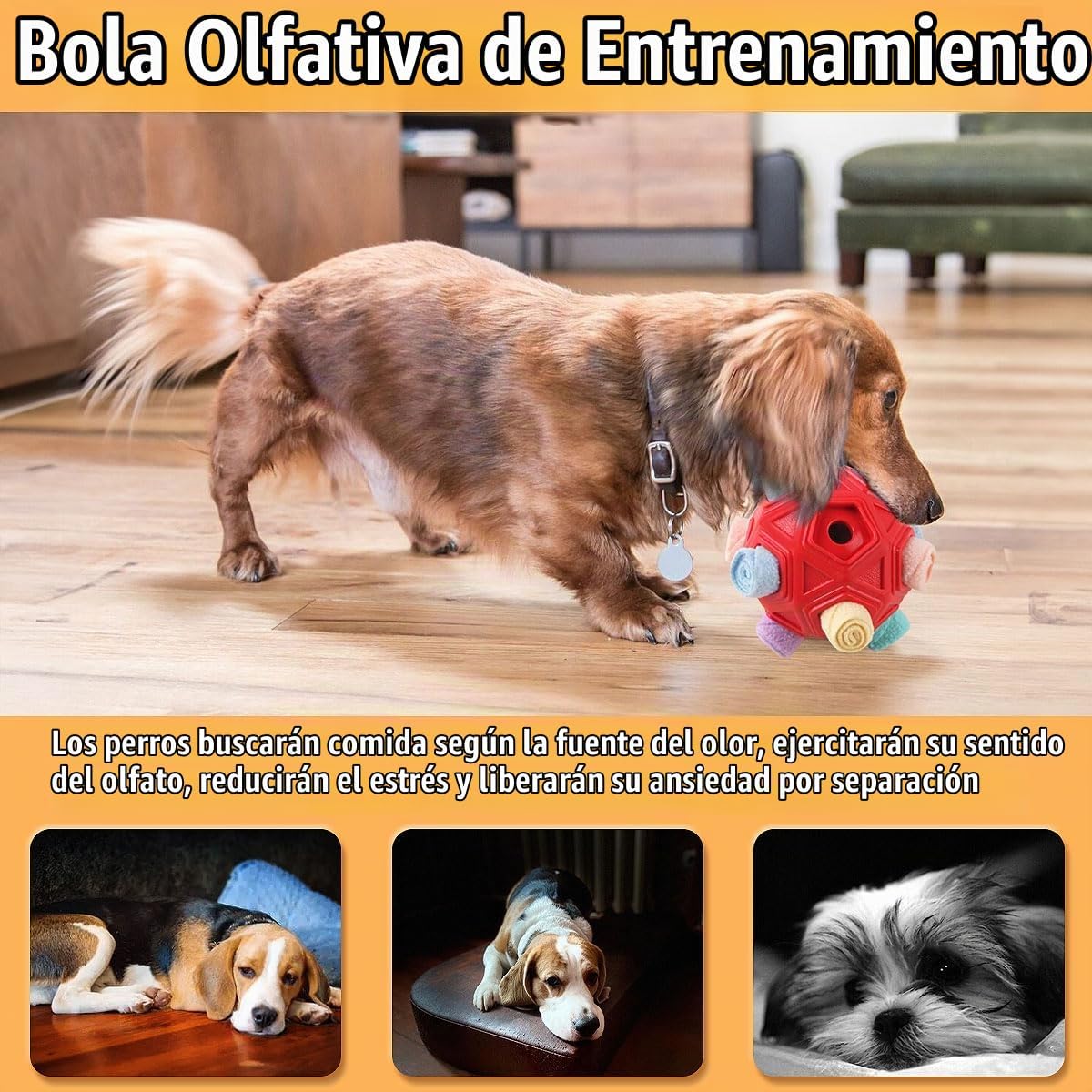 Petration Pelota Olfateadora para Perros - Juguetes Interactivos de...
