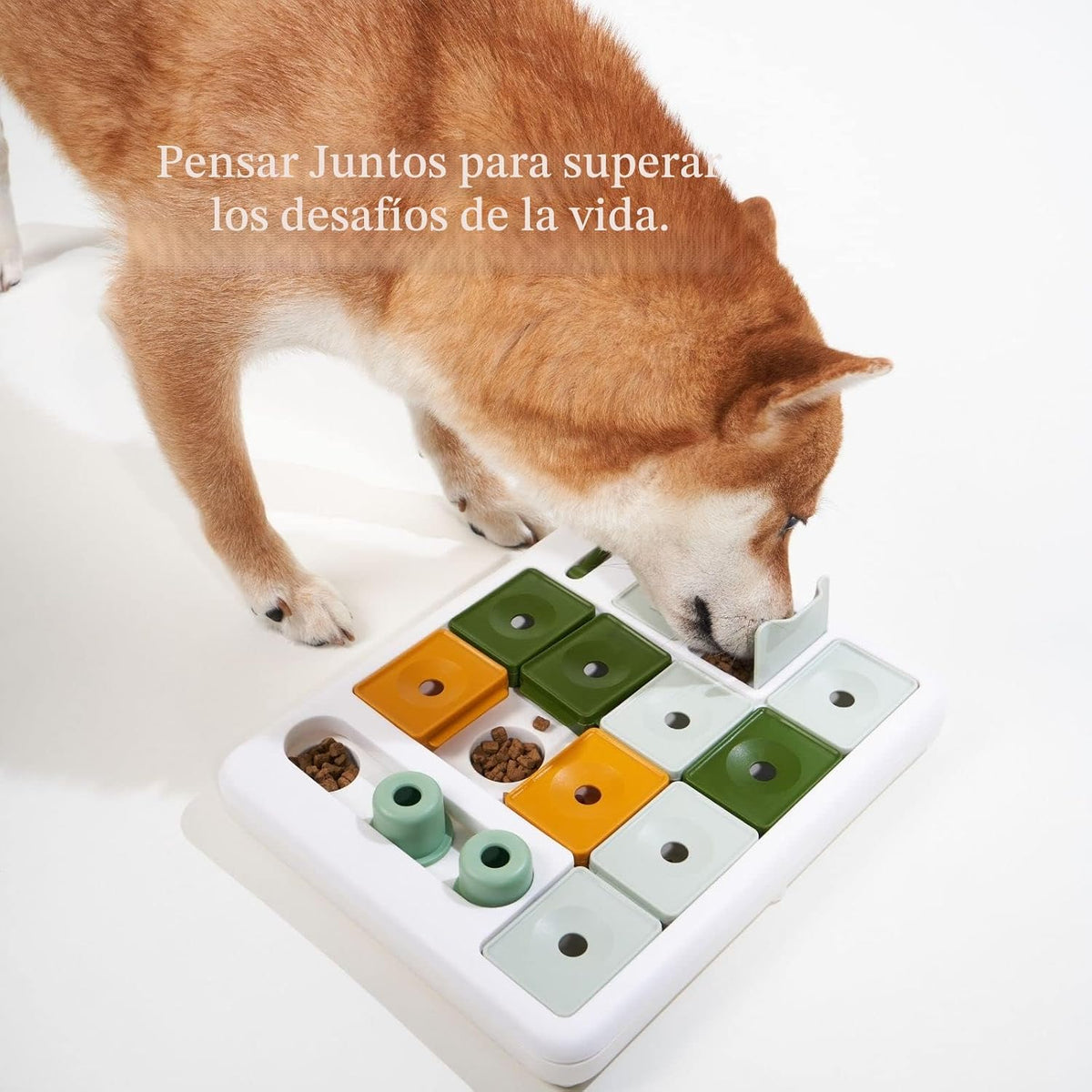 Barkwhiz Juguete Rompecabezas para Perros de 3 Niveles, Estimulació...