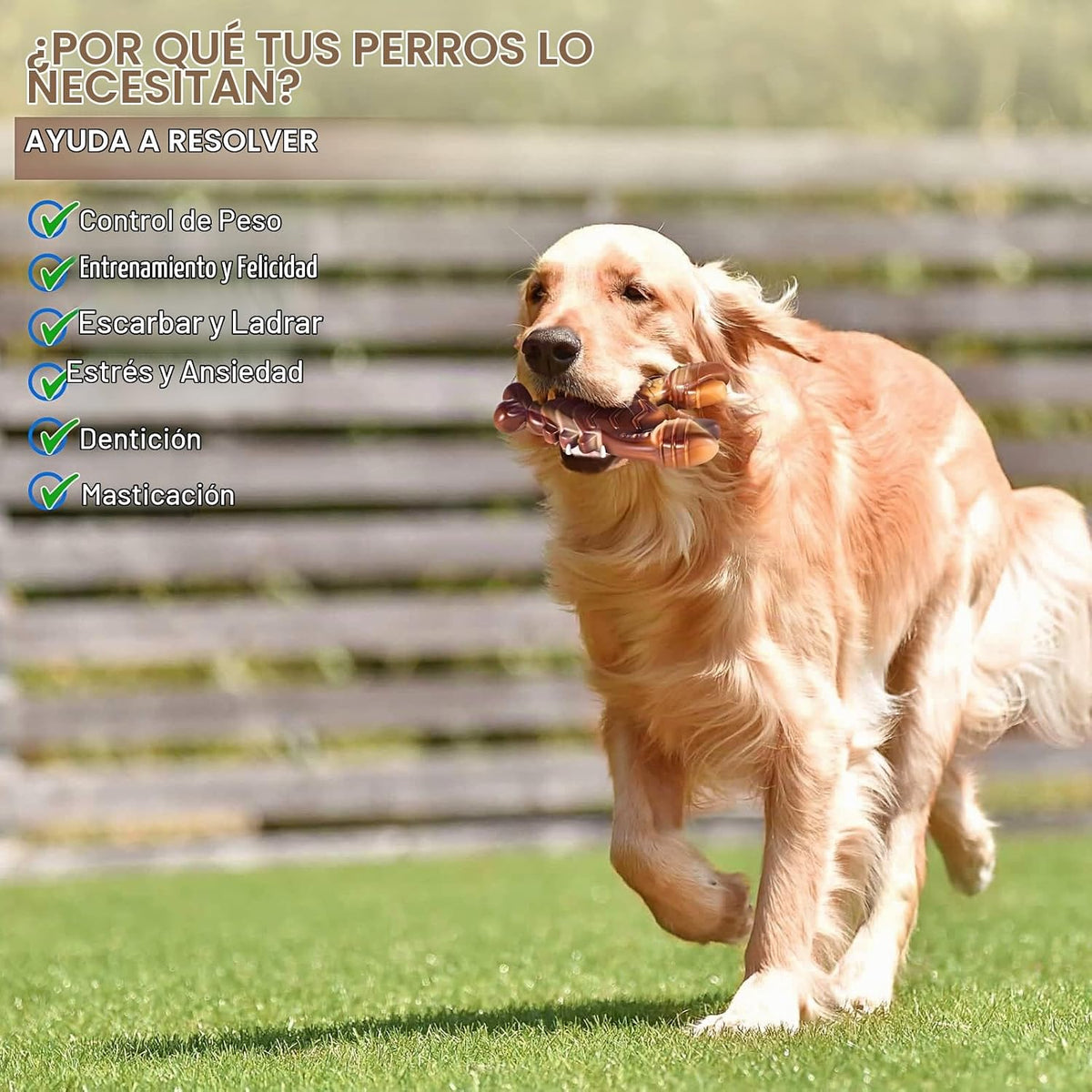 PETSTA Juguetes indestructibles para perros masticadores agresivos,...