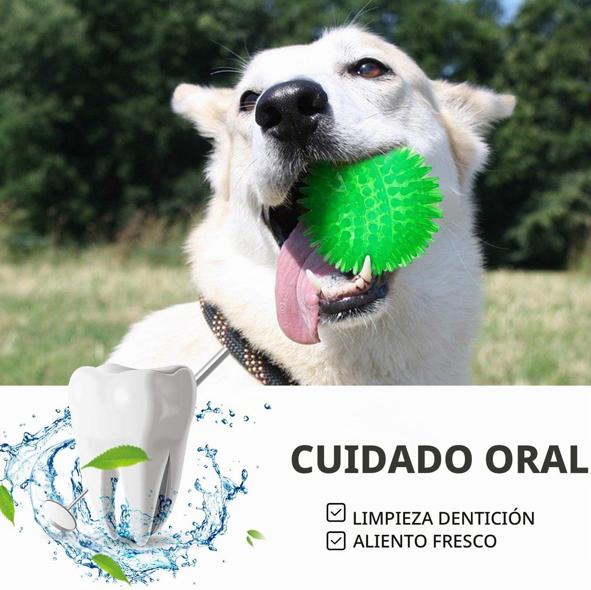 SHARLOVY Bolas chirriantes para perros pequeños, bolas de goma para...