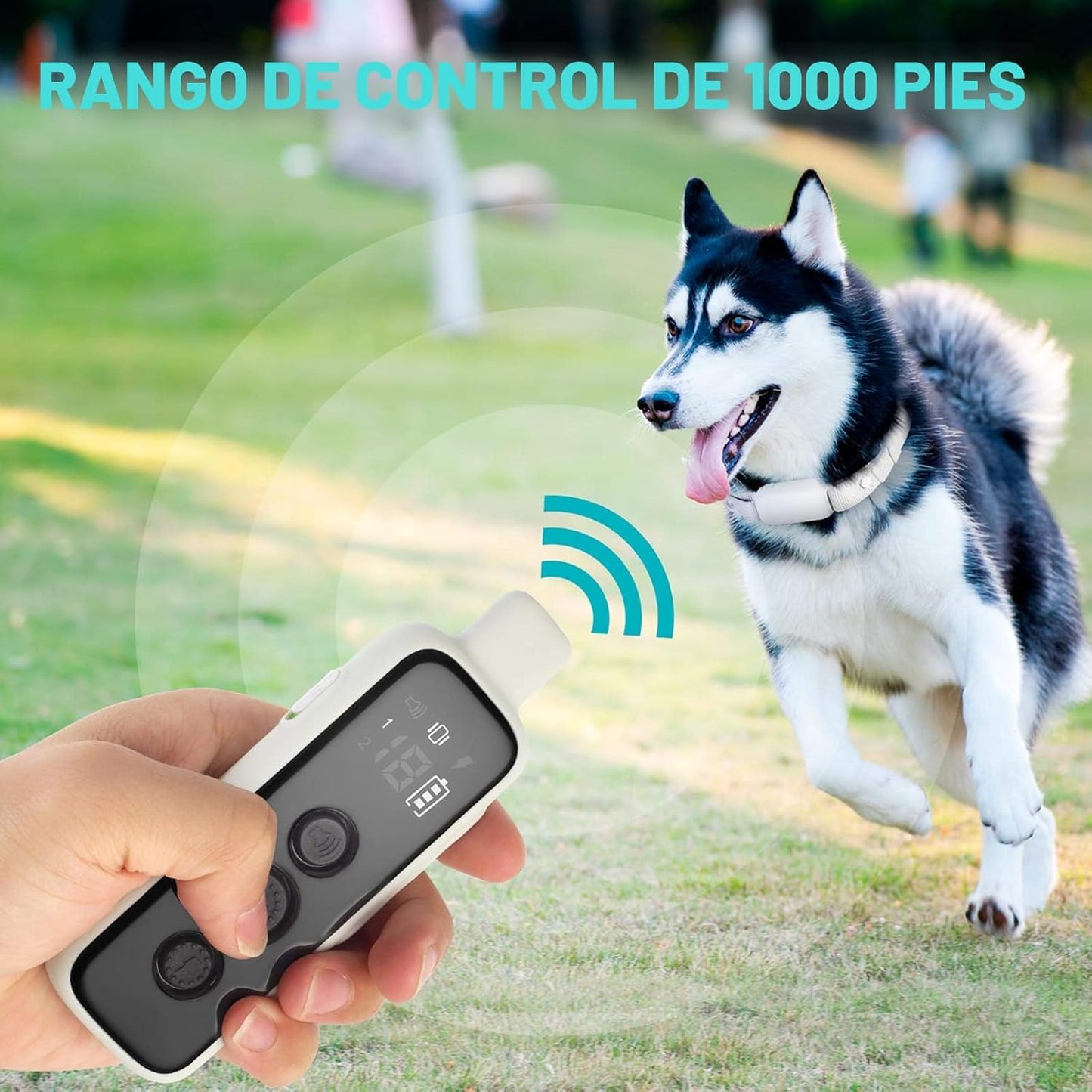 Bousnic Collar de choque para perros 2 perros, (8-120 libras), coll...