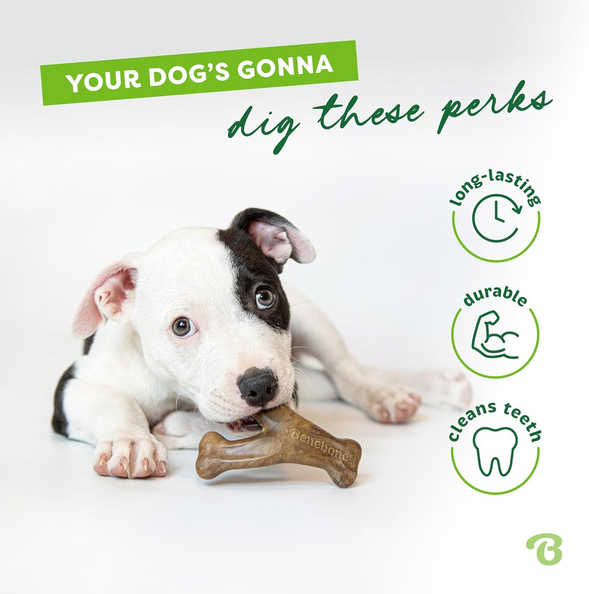 Benebone Wishbone - Juguete masticable para perros para masticadore...
