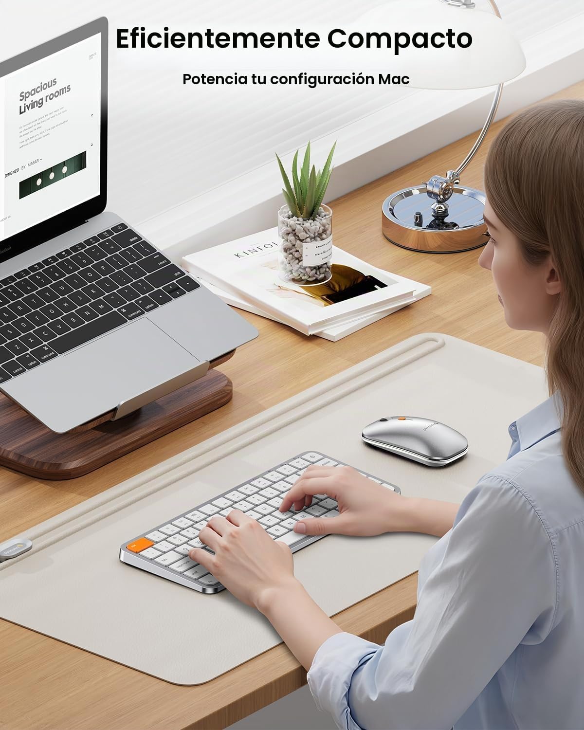 ProtoArc Teclado retroiluminado compacto Bluetooth y ratón para Mac...