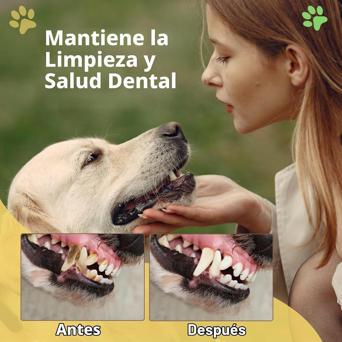 Letsmeet Juguetes para Perros con Sonido de Peluche Durader@s con P...