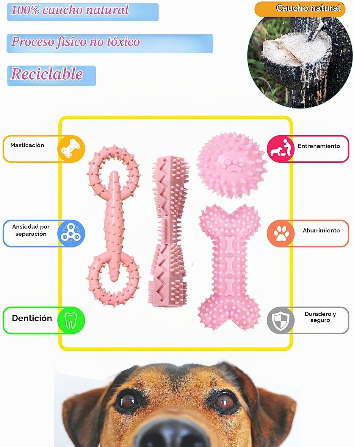 Paquete de 4 juguetes para cachorros de 2 a 8 meses, juguete mastic...