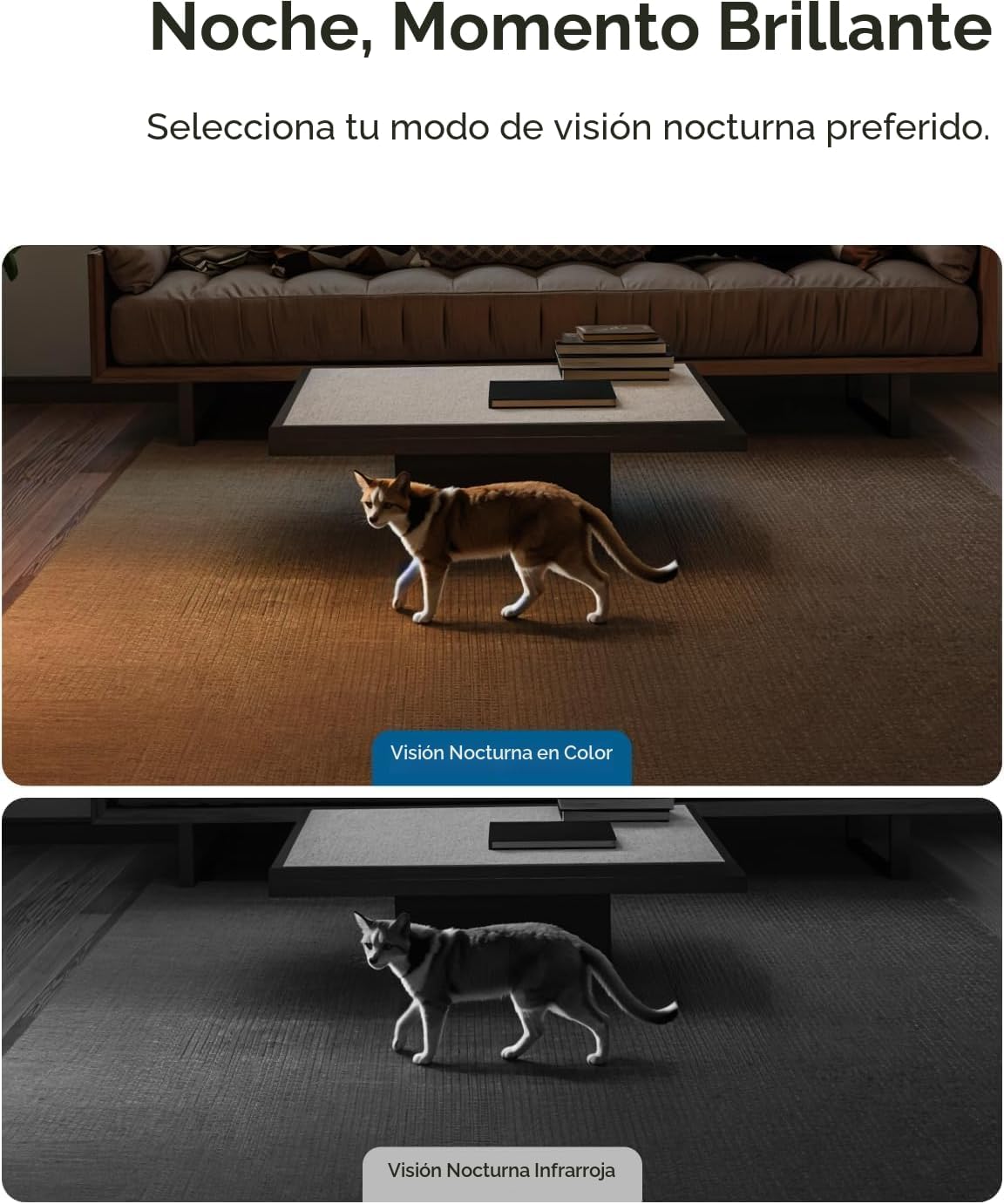 eufy Security Cámara interior 4K E30, sin suscripción, funciona com...