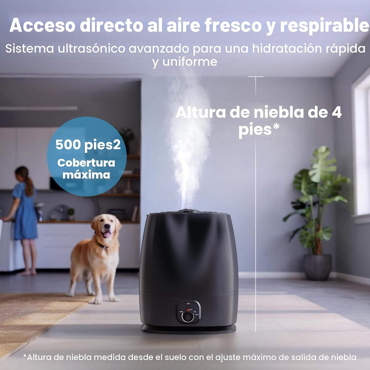 Everlasting Comfort Humidificadores de 6 L para dormitorio, silenci...